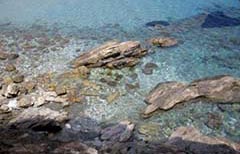 'swimming pool' beach